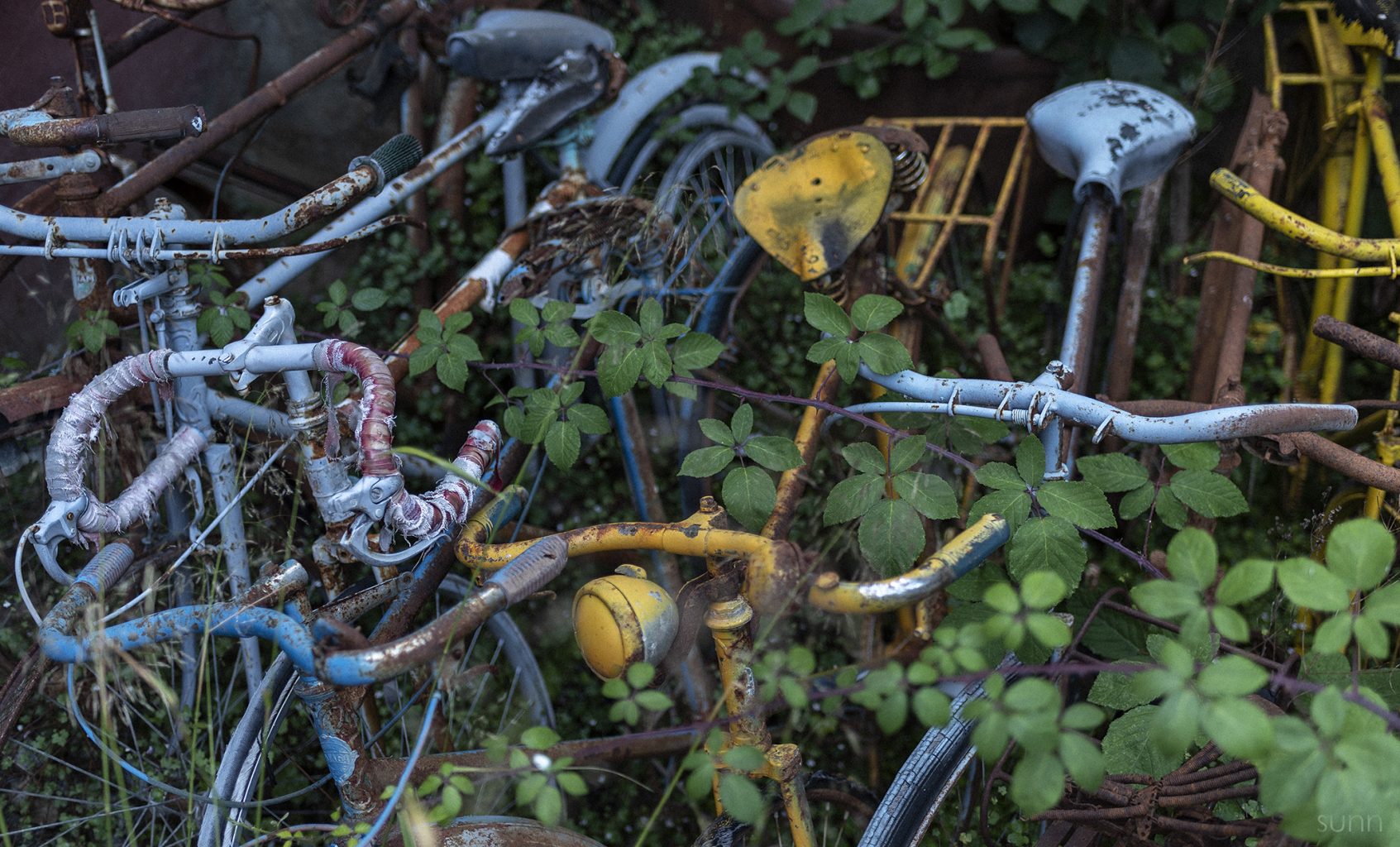 Fotografía de bicicletas abandonadas en un entorno de naturaleza.
